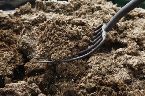cara membuat pupuk kompos dari kotoran sapi  Bahan dan proses pembuatan kompos adalah sebagai berikut: a